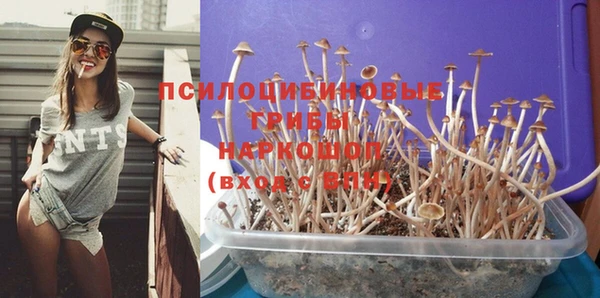 а пвп мука Каменка